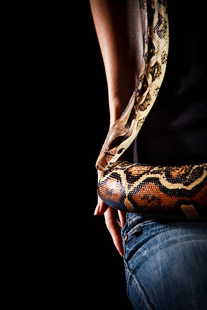 istock anaconda and woman 177395198