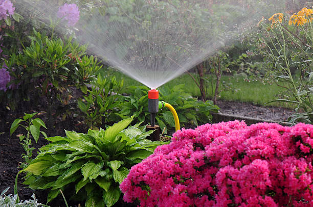 istock Automated watering system working in the garden 177395424