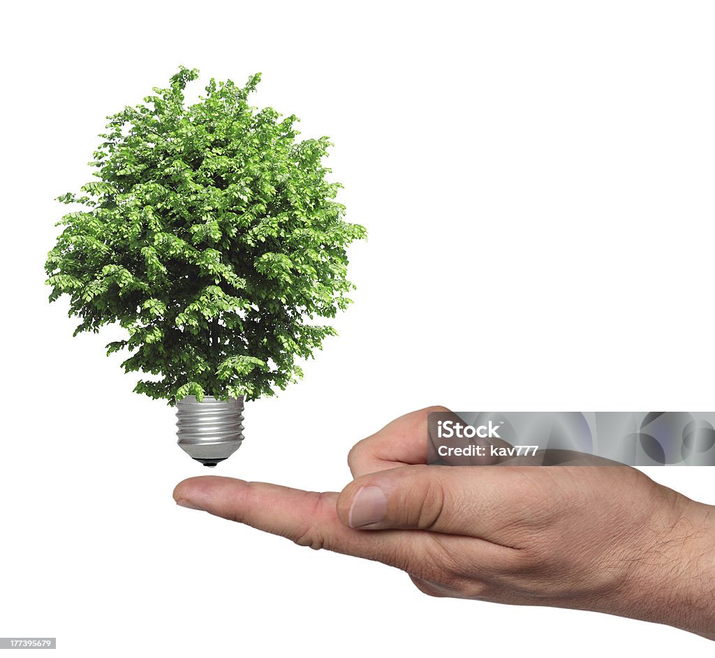Árvore crescendo de base da lâmpada - Foto de stock de Branco royalty-free