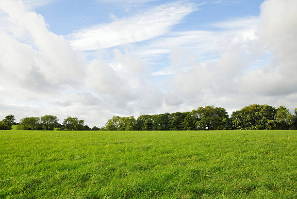 Green Field Farmland View of a Green Field in Rural England ranch photos stock pictures, royalty-free photos & images