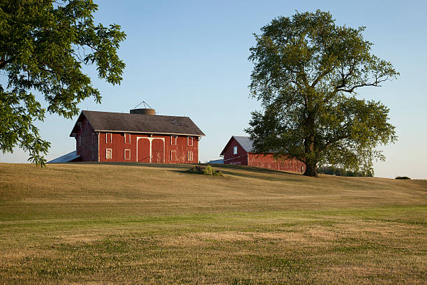 istock Old red barns in Ohio 177395758