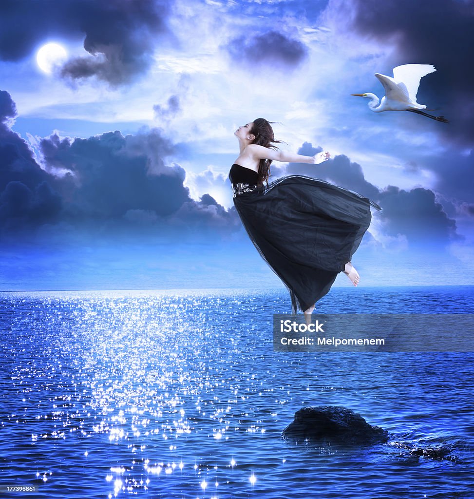 Beautiful girl jumping into the blue night sky Beautiful girl jumping into the blue night sky with white egret Flying Stock Photo