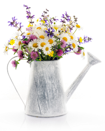 watering can with wildflowers on white
