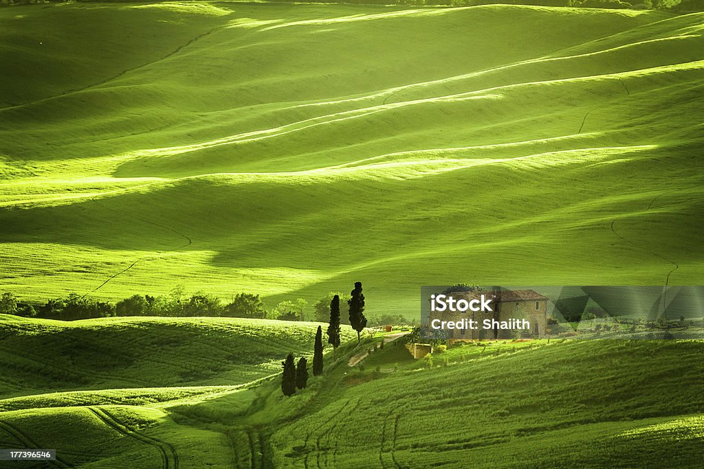 Campos de Primavera e meadows em Itália - Royalty-free Agricultura Foto de stock