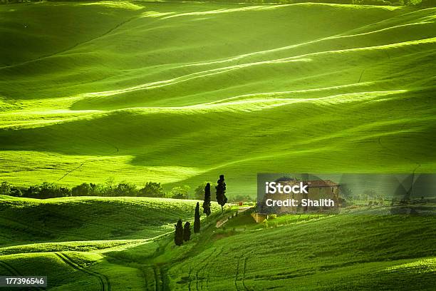 Campos De Primavera E Meadows Em Itália - Fotografias de stock e mais imagens de Agricultura - Agricultura, Amanhecer, Ao Ar Livre