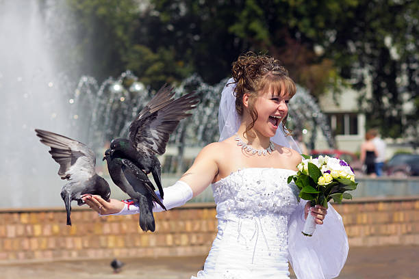 istock Beautiful bride with a pigeons 177398969