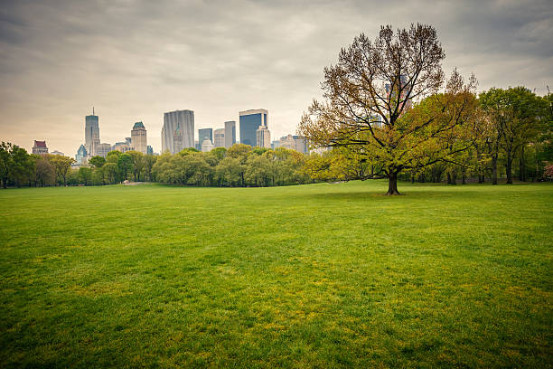 istock Central park at rainy day 177399479