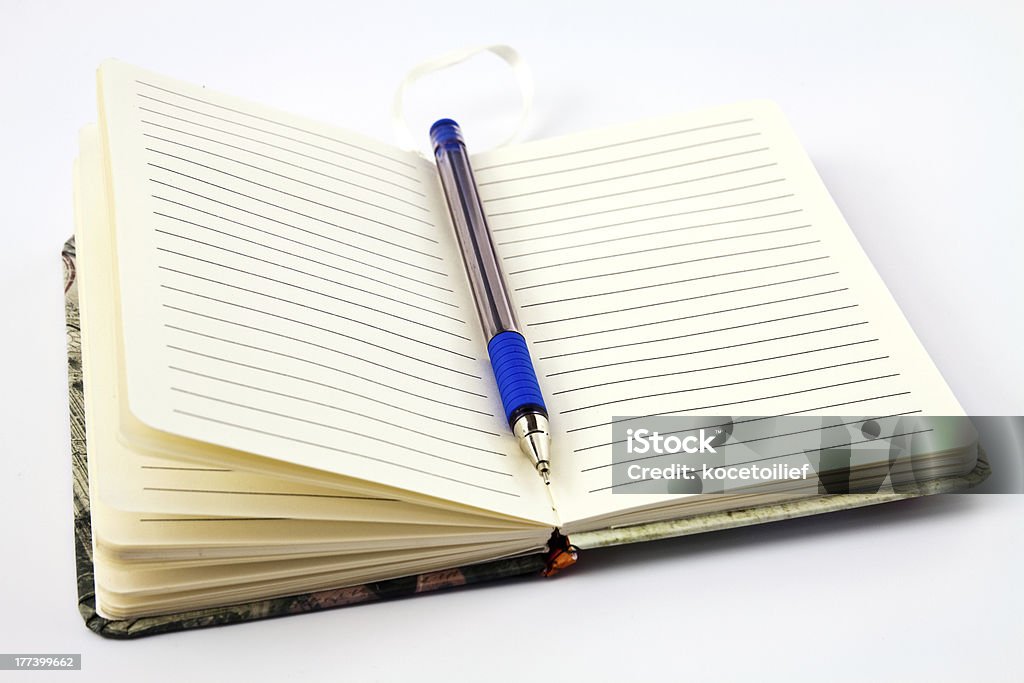 Pen and pocket notebook Pen on the open pages of a pocket notebook Accessibility Stock Photo