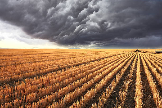 Huge storm cloud stock photo