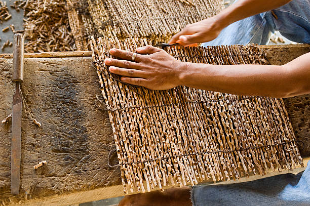 Amazon Artisan Amazon artisan working with patauá (a typical amazon palm) fiber. palm fiber stock pictures, royalty-free photos & images