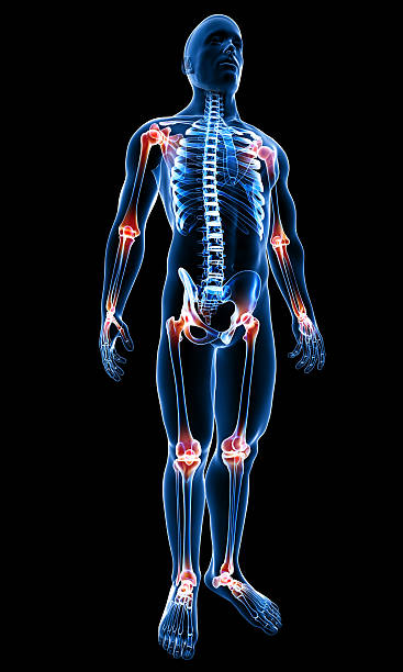 istock Anatomy of joint pain 177400756