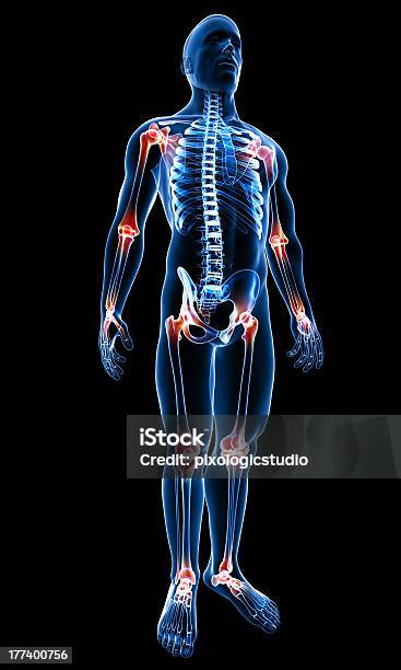 Anatomia De Dor Nas Articulações - Fotografias de stock e mais imagens de Anatomia - Anatomia, Articulação - Parte do corpo, Articulação humana