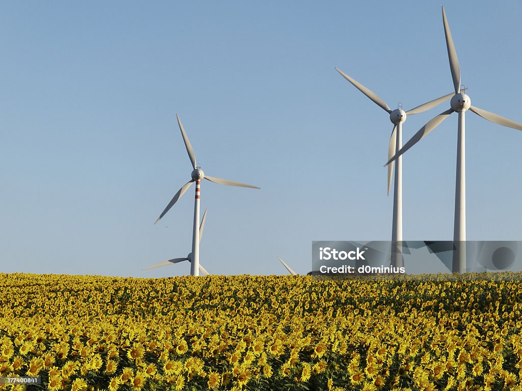 風力タービンファーム自然のエネルギー電力 - グリーンテクノロジーのロイヤリティフリーストックフォト