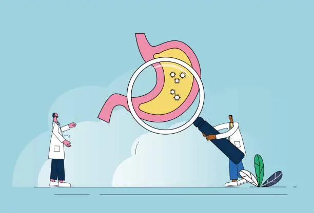 Vector illustration of Two doctors examine the stomach with magnifying glasses.