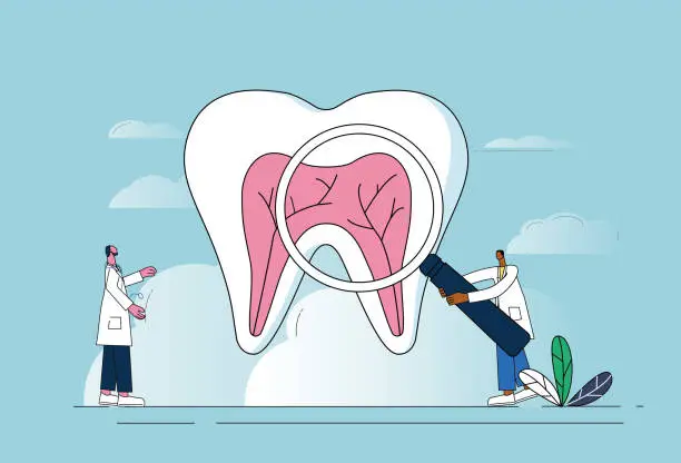 Vector illustration of Two doctors examine teeth with magnifying glasses.