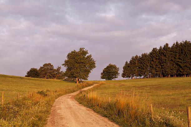 istock rural road at sunrise 177401413