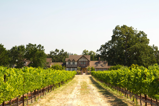 Farmer house in a vineyard