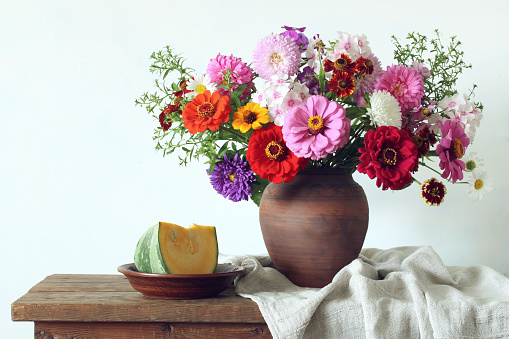 summer still life with garden flowers: asters and zinnias in a clay jug. a bouquet and a piece of pumpkin.