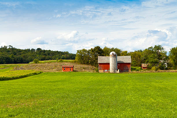 istock American Farm in hot summer day 177402118