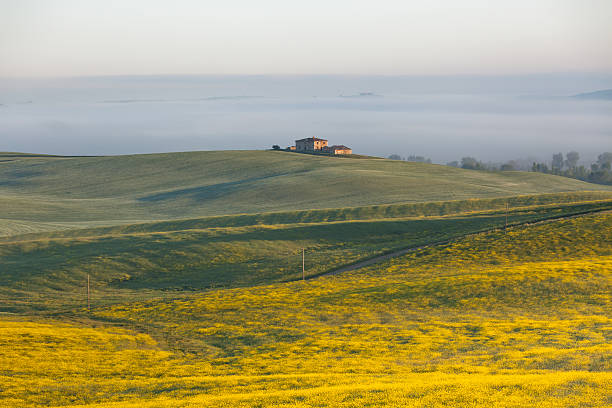 ferme de la toscane au lever du soleil - siena province tuscany italy fog photos et images de collection