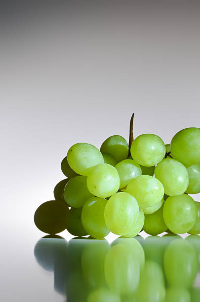 grape stock photo