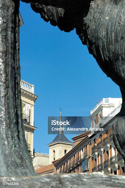 Bär Und Arbutus Stockfoto und mehr Bilder von Amerikanischer Erdbeerbaum - Amerikanischer Erdbeerbaum, Baum, Bär