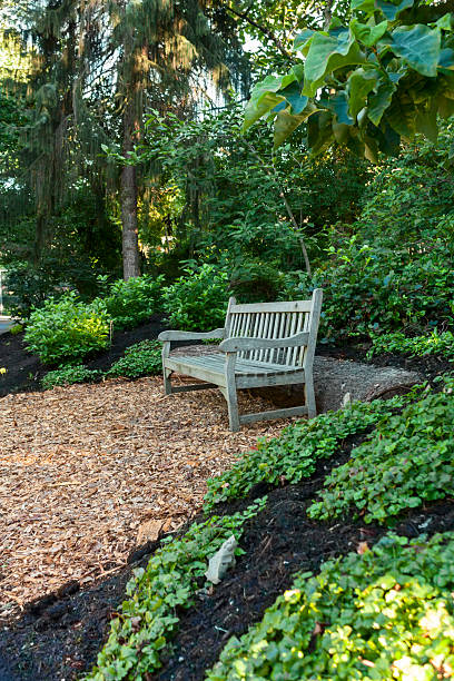 istock Empty wooden bench in the park. 177402519