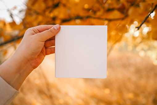 A sheet of paper in hands with a place for text on the background of an autumn park.