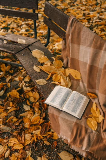 istock Open Bible on a blanket, autumn 1774028139