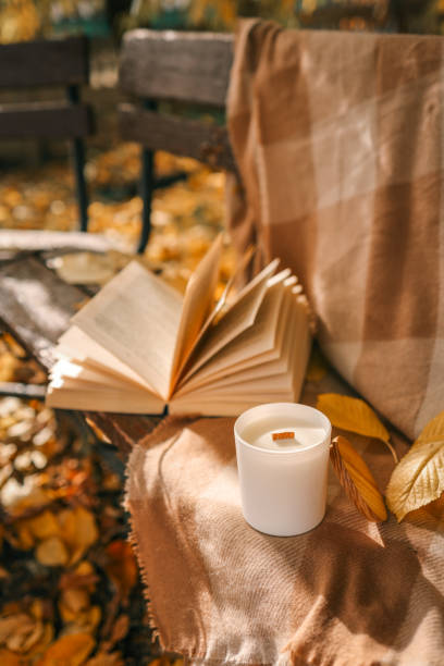 istock Candle and open book in nature, autumn concept 1774028323