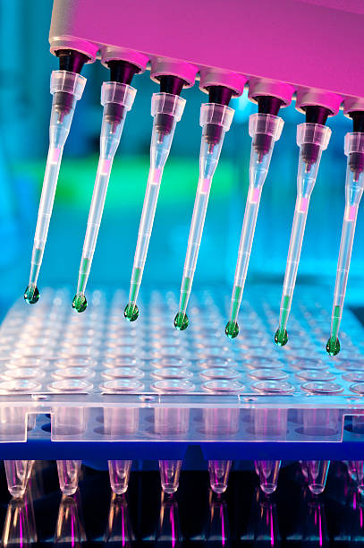 istock Tubes and tests for PCR amplification of DNA in laboratory 177402958