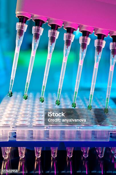 Ferramentas Para Amplificação De Reacção Em Cadeia Por Polimerase Do Adn - Fotografias de stock e mais imagens de ADN
