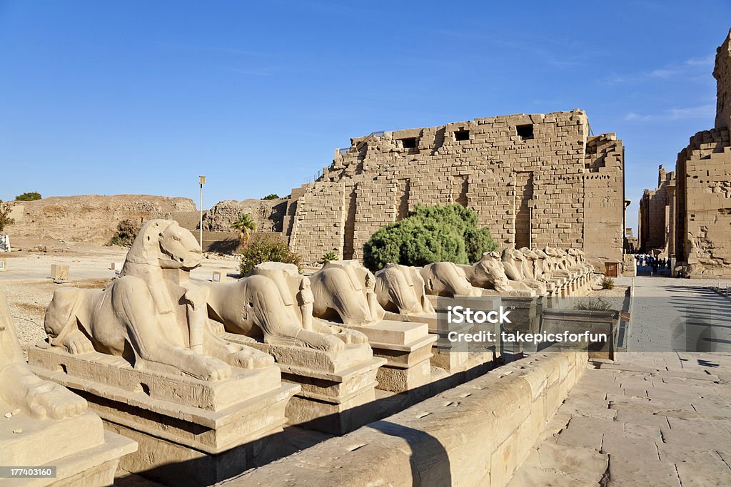 Ряд ramheaded sphinxes - Стоковые фото Амон роялти-фри