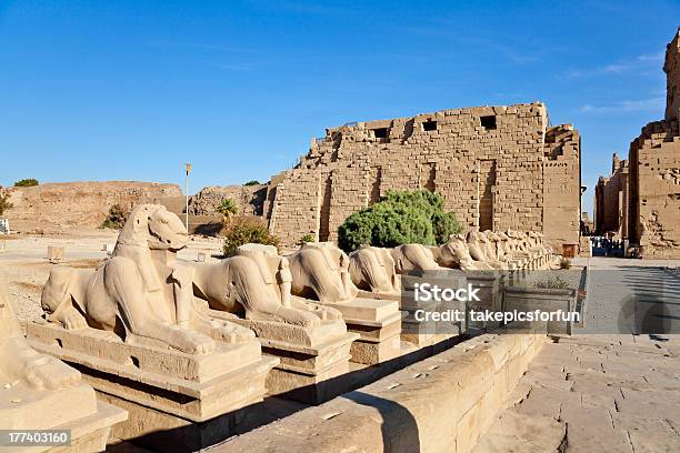 Ряд Ramheaded Sphinxes — стоковые фотографии и другие картинки Амон - Амон, Храм, Архитектура