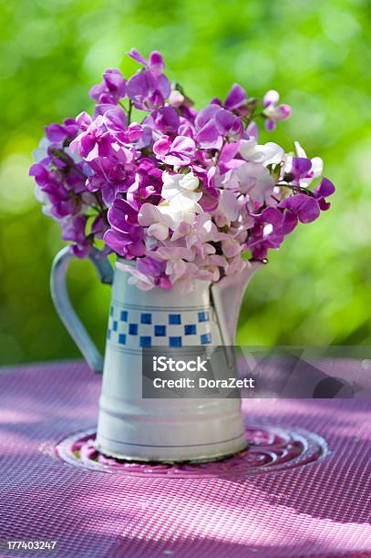 Pea Flowers Stock Photo - Download Image Now - Flower, Flower Head, Formal Garden