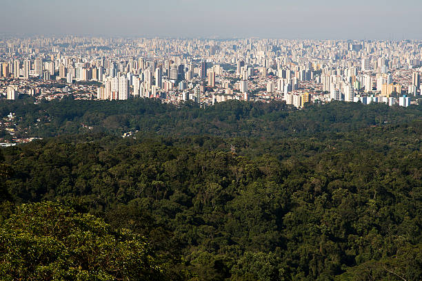 City of São Paulo viewed from the Cantareira Sierra. Note the air pollution .