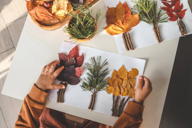 istock Children's creativity, child's study of natural materials, application top view 1774034556