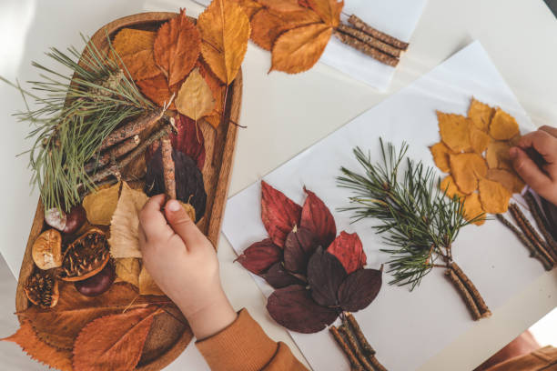 istock Children's creativity, child's study of natural materials, application top view 1774034557