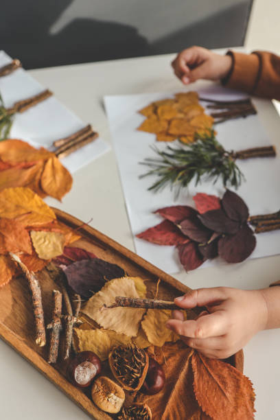istock Children's creativity, child's study of natural materials 1774034558