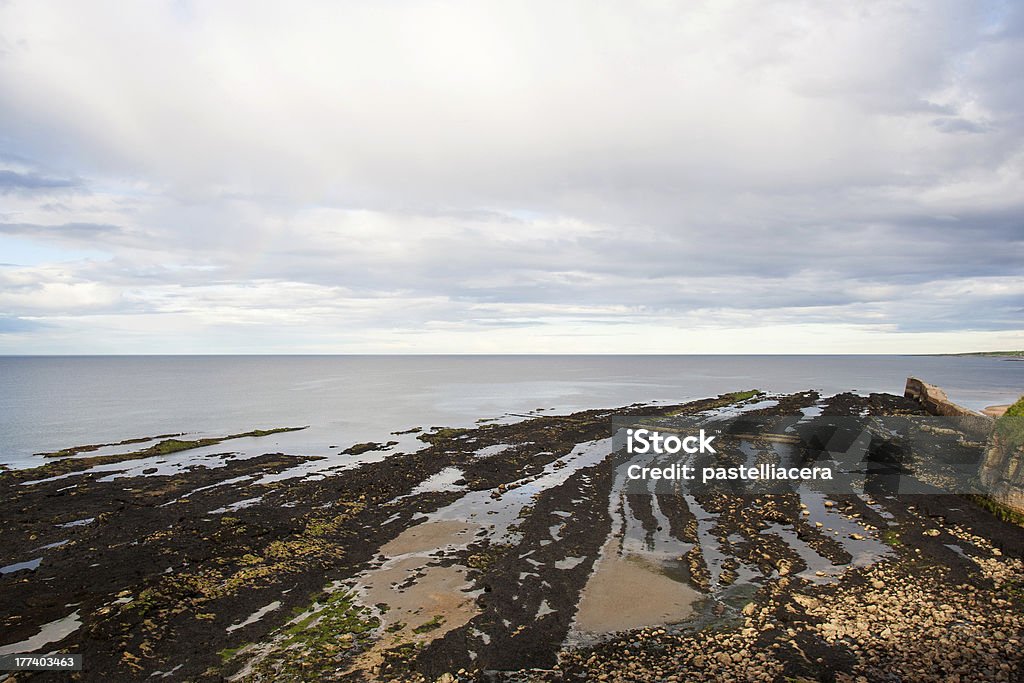 Low tide in St Andrews Scotland Tides are the rise and fall of sea levels caused by the combined effects of the gravitational forces exerted by the Moon and the Sun and the rotation of the Earth. Beach Stock Photo