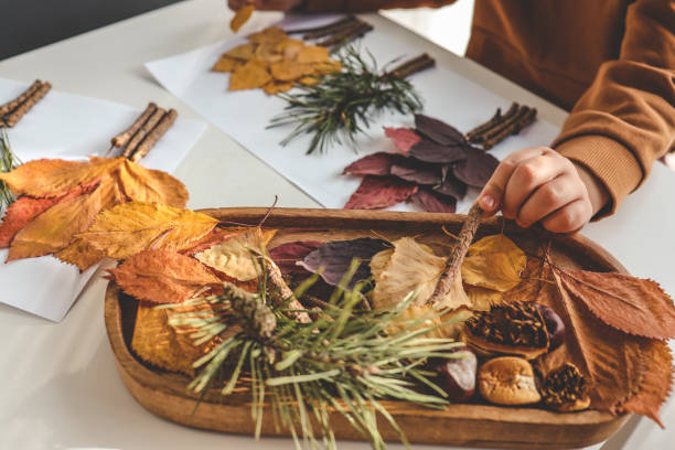 istock Children's creativity, child's study of natural materials 1774035067