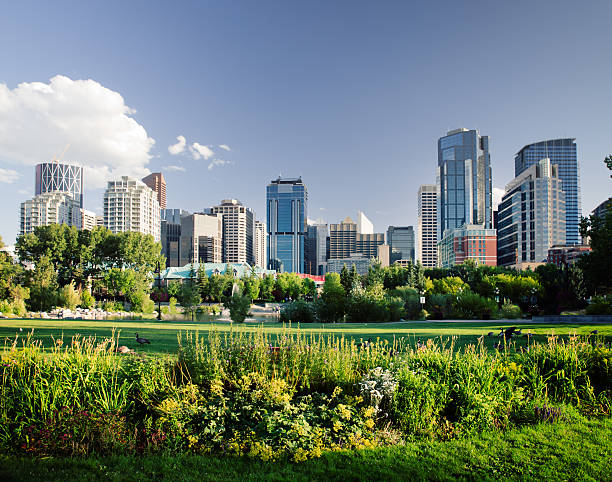 Free Stock Photo of Calgary Park | Download Free Images and Free ...