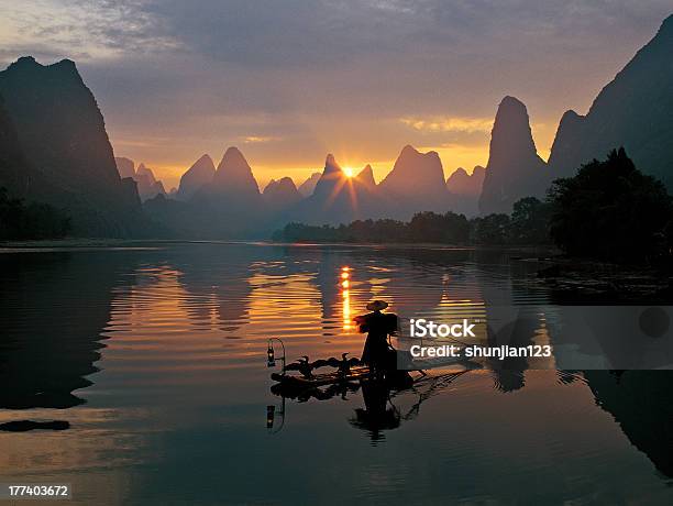 Pescadores E Águiamarinha No Rio Li - Fotografias de stock e mais imagens de China - China, Guilin, Pesca