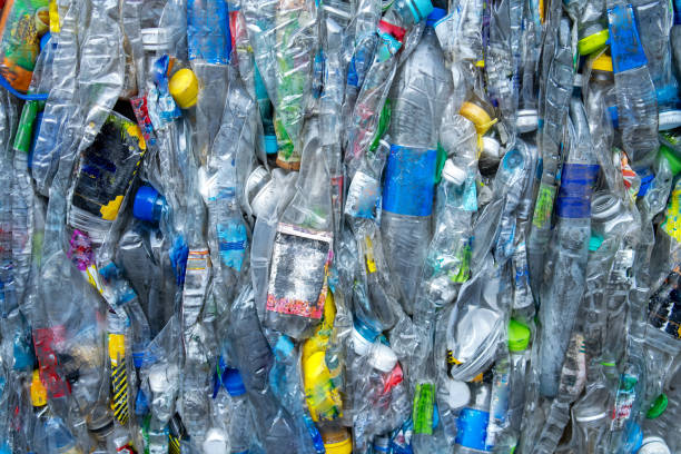 istock Plastic bottle waste sorting process for recycling to reduce the ecological environment. 1774037920