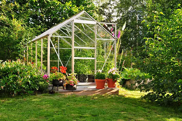 A green house full of flowers and plants