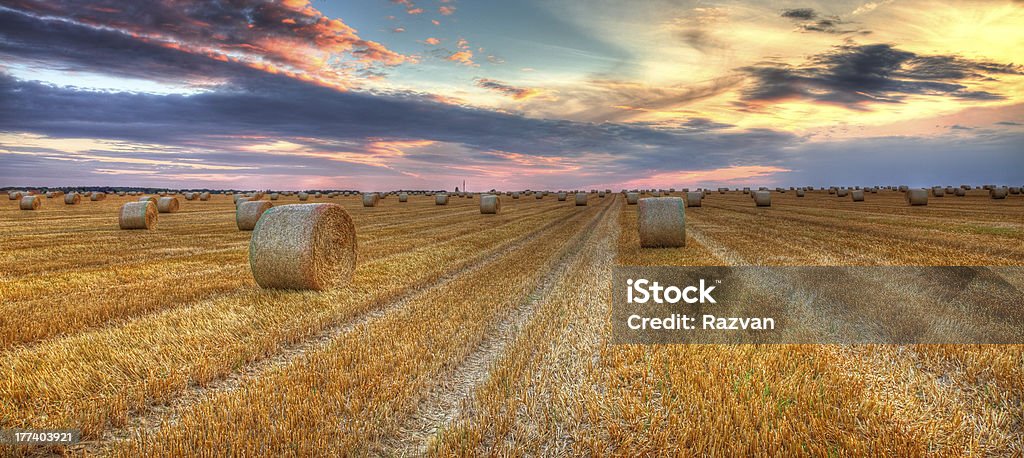 Sonnenuntergang über dem Feld - Lizenzfrei Abenddämmerung Stock-Foto