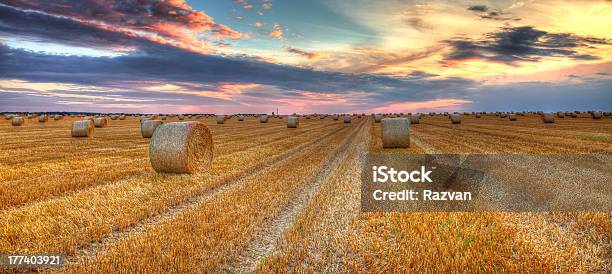 Sonnenuntergang Über Dem Feld Stockfoto und mehr Bilder von Abenddämmerung - Abenddämmerung, Agrarbetrieb, August