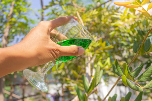 The glass containing the melon syrup is tilted downwards