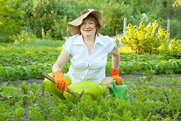 istock woman working in  vegetable garden 177404051