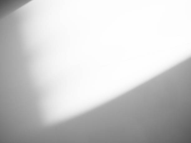 istock Shadow Effect Background Mockup Black Frame Reslistic Shade Gray Leaf Overlay Leaves Tree Tropic summer Plant Light White Floor Abstract Sunlight Backdrop Minimal Mockup 3d Bg Wall Nature Sun Scene. 1774041864